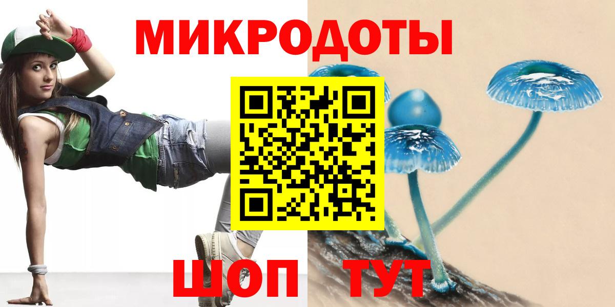 Камень-на-Оби  Галлюциногенные грибы Magic Shrooms  купить   Вход с VPN 