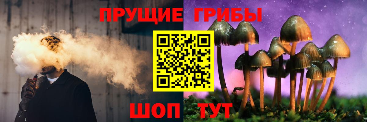 Псилоцибиновые грибы Cubensis Камень-на-Оби